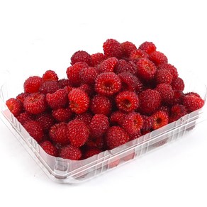 [순진한]새콤달콤 프리미엄 2024 햇 산딸기 생과 / 당일수확발송 250g 500g 1kg, 1개