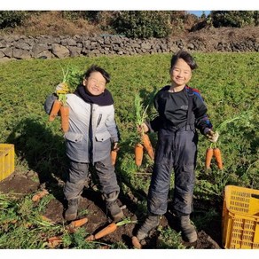 (태양이네)국산 제주 구좌 햇당근 흙당근 5kg 10kg 산지직송 주스용, 1박스, 제주구좌 흙당근 왕 5kg