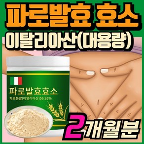 파로 효소 분말 이탈리아 파로 곡물 효소 고대곡물 엠머밀 가루 탄수화물 글루텐 분해효소 역가수치 높은 효소, 1개, 120g