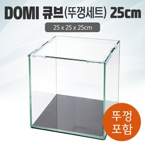 DOMI 25 큐브 수조 (뚜껑포함 일반) (25x25x25)+우레탄매트서비스, 1개