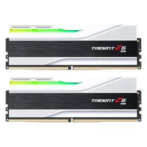 G.SKILL DDR5-6000 CL30 TRIDENT Z5 RGB J 실버 패키지 (32GB(16Gx2))