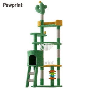 Pawpint 선인장 캣타워는 귀여운 선인장 디자인과 부드러운 테디벨벳 소재 튼튼한 다층 구조와 공간 절약 설계로 작은 원룸 거실 놀이에 다묘 가정과 초보 집사 소형묘까지 추천, 1개, 녹색