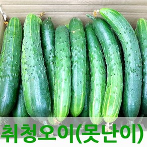 자체브랜드 싱싱한 오이 취청오이, 오이3kg(보통), 1개