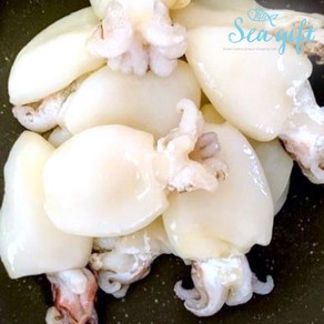 [씨기프트]미니 갑오징어 2.16kg (180g x 12팩) 2040(9미) 베이비이까 냉동 손질, 12개, 단품