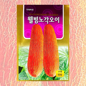노각오이 씨앗 50립 [25년포장] 웰빙 노각오이 종자, 1개