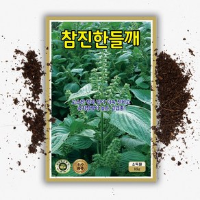 씨앗팜 씨들깨 씨앗 (15g) 들기름 들깨종자, 1개