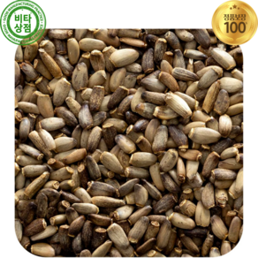 포론티어 코옵 통곡물 밀크 씨슬 시슬 씨드 씨앗 453g Whole Milk Thistle Seed, 1개