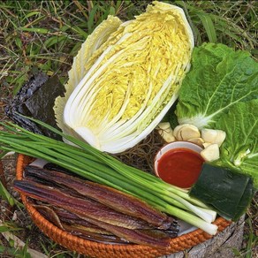 조아수산 포항 구룡포 최상급 햇과메기 혼술가능, 1개, 완전손질 과메기만 5미