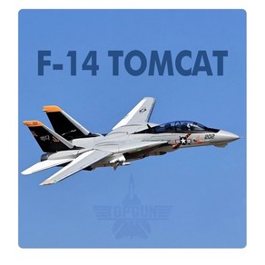 FREEWING F-14 TOMCAT super scale twin 64mm edf jet 톰켓 RC비행기