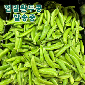 국산 햇 껍질 완두콩, 1박스, 1kg