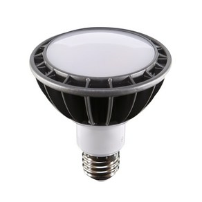 천지몰 LED PAR30 램프 15W 주광색 전구색 확산형 집중형, 1. 15W (전구색/확산형), 1개