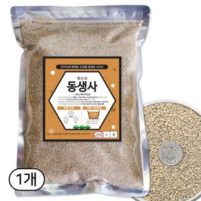 세경팜 깔끔한 동생사 세립 야생화 난석, 2L, 1개