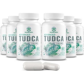 TUDCA 투드카 1100mg 60캡슐 6개