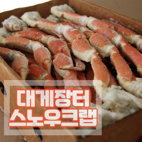 [대게장터] 스노우크랩 5kg 러시아대게 수입 마가단 냉동 자숙 대게 섹션 배달, 5kg-M, 1개