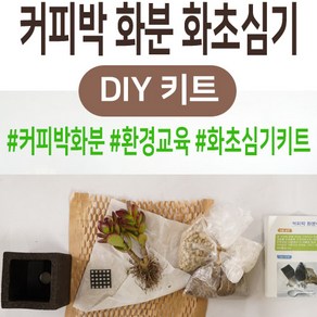 커피박 화분 DIY 커피 찌꺼기 화초 심기 교육 체험 키트 세트, 02.까라솔