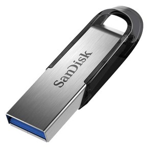 샌디스크 플래시 단자노출형 USB3.0 CZ73, 512GB