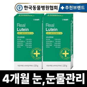 펫생각 리얼 루테인 강아지 눈 눈물 자국 영양제 보조제 백내장 녹내장 눈노화 예방 시력저하 120g, 눈물개선/눈건강, 2개