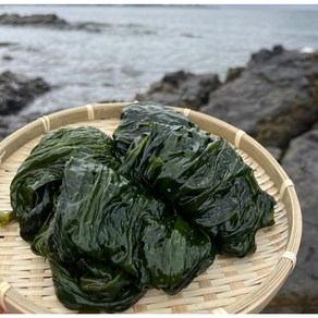 오씨엔수산 완도산 염장 쇠미역 곰피, 쇠미역(곰피), 1개, 10kg