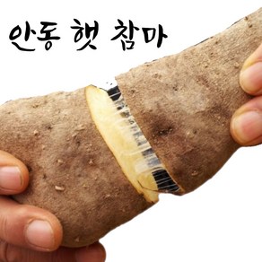 엄마네곳간 안동마 당일선별