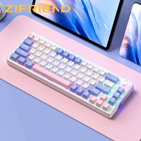 ZIFRIEND ZA68 LED 예쁜 RGB 백라이트 게이밍 기계식 키보드 미니 휴대용 커스텀 65%배열 핫스왑 무한 입력 PBT 키캡 저소음 68키, 퍼플, 3모드