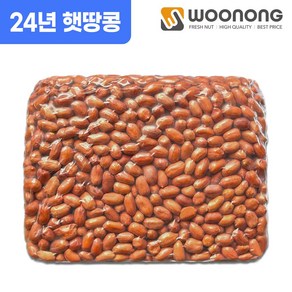 우농 24년산 햇 볶음땅콩 (관땅콩), 1개, 3.75kg 대사이즈 (24/28)