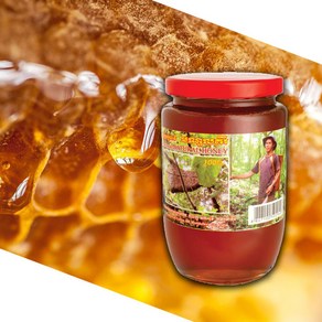 목청꿀 몬돌끼리 천연 벌꿀 Mondulkii Natual Honey 400ml 야생꿀 네츄럴허니, 1개