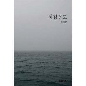 체감온도, BOOKK(부크크), 정세은 저