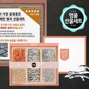 명절선물세트 남해안 명품멸치 선물세트 5호 대멸 300g+중멸100g+세멸150g+건새우50g+꽃새우50g, 1개