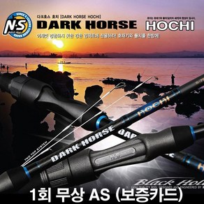 NS 엔에스 다크호스 호치 2탑 루어낚시대 호레기 풀치 보증카드 [그린피싱], 1.NS 다크호스 호치 S-732-ST