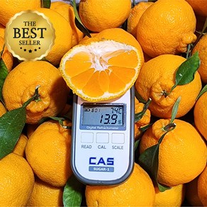 맑은마켓 고당도특수농법 14Bix 제주 한라봉, 1박스, 5kg(가정용)