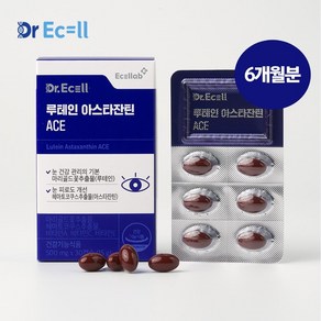 닥터이셀 루테인 아스타잔틴 ACE 눈건강 피로개선 500mg 30캡슐*6 (6개월분), 6개, 30정