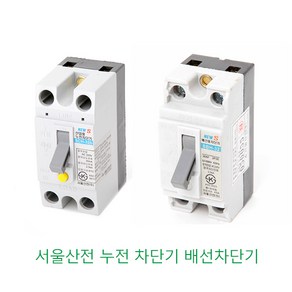 서울산전 누전차단기 배선차단기 2P 15A 20A 30A, 누전 30A(산업용), 1개