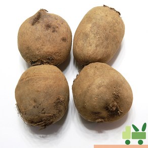 사라상회 비트 2Kg (상), 1개