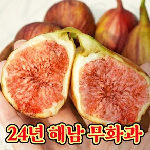 GAP 달구르 홍무화과 산지직송 해남 햇 생 무화과