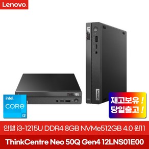 레노버 2024 씽크센터 Neo 50Q Gen4 코어i3 인텔 12세대, 12LNS01E00, WIN11 Home, 512GB, 8GB, 블랙