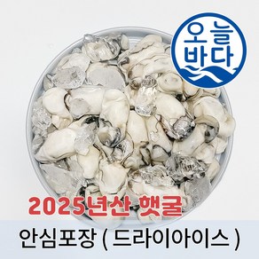 25년 100% 통영산 최상급 냉동굴 산지직송 (2KG 구매시 사은품 오만둥이 300g 증정), 1개, 냉동 굴 1kg