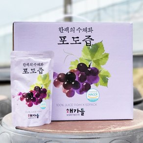 한팩의 수채화 포도즙 임신 임산부 포도즙 110ml 50팩 한가로이, 110ml 50팩 1박스, 1개, 5.5L