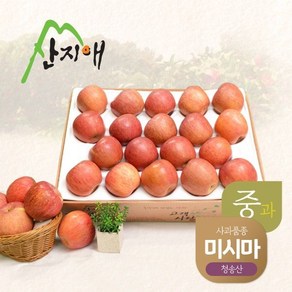 산지애 알뜰 못난이사과(중과) 4.5kg 1box / 청송산 미시마 당도선별, 1