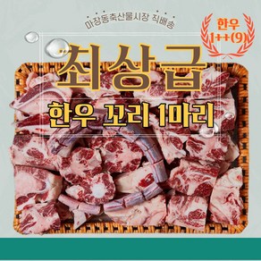 마장동 한우 투쁠 한우꼬리 1마리 13kg이상 한우꼬리선물세트 마장축산물시장, 1개