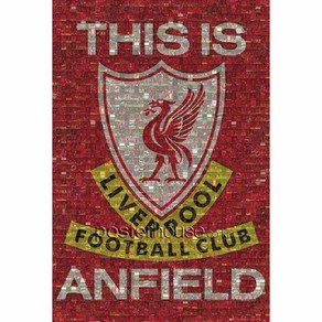 MAXI Poster 포스터 61x91 - 리버풀 LIVERPOOL mosaic