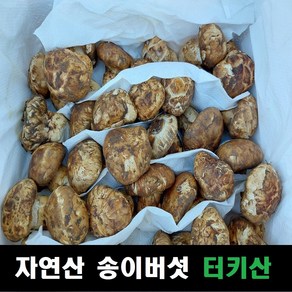 송이버섯 자연산 냉동슬라이스 터키산