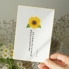 두방지 서화판 스끼시(캘리그라피 서예 동양화작품 액자)F1사이즈 10장묶음, F1호(10장)