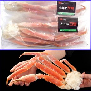 자숙 박달 대게 스노우크랩 2.5kg 러시아 마가단 대게배달 (냉동 수산물 장터), 4L 2.5KG, 1세트