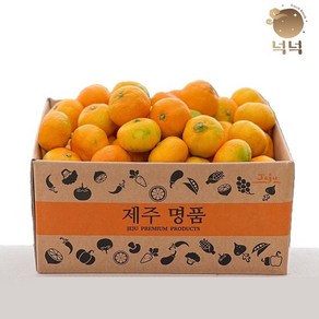 제주 감귤 조생귤 실중량 4.5kg외, 2kg 중대과(L-2L)