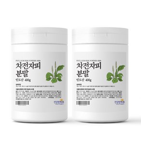 헬스앤푸드 인도산 차전자피(질경이껍질) 분말 100% 400g, 400g x 2통, 2개