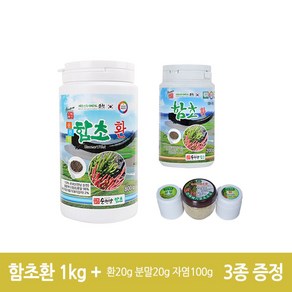 천기누설 방송 순천 유기농 인증 진짜배기순천만함초환 1kg(리800g + 200g), 1kg, 2개