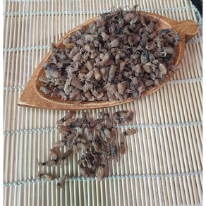 국산 건 꼴뚜기 300g ( 소꼴 특상), 1개