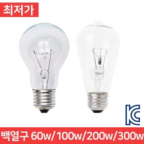 백열구 백열등 램프 전구 60w 100w 300w 백열램프 백열전구, 백열구 60w (길쭉한모양), 1개