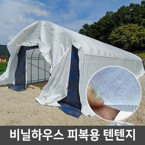 비닐하우스 텐텐지 하우스자재 피복 자재, 텐텐지 180g 10m x 15m, 1개