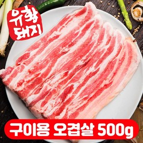 국내산 한돈 캠핑고기 통 삼겹살 오겹살 목살 냉장 (500g+500g) 1kg, 오겹살(구이용), 1개